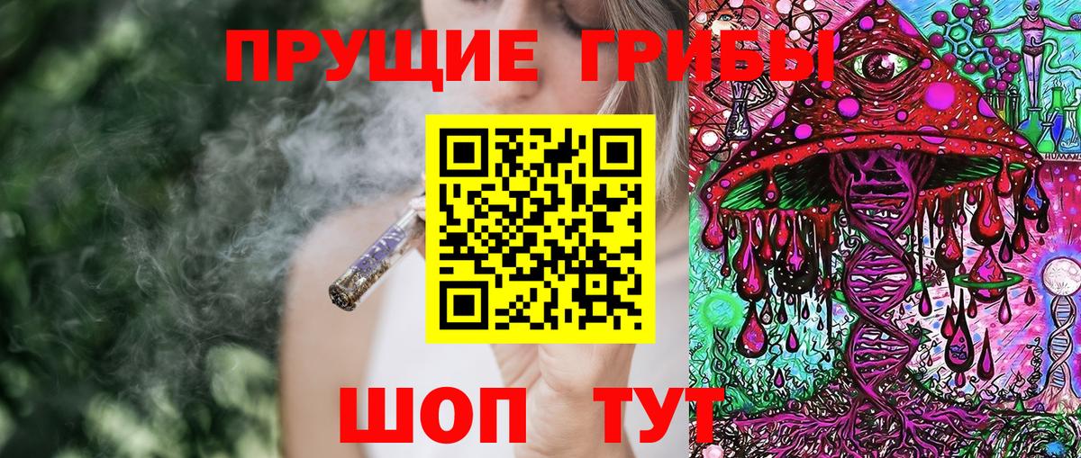 Галлюциногенные грибы Psilocybine cubensis Ейск