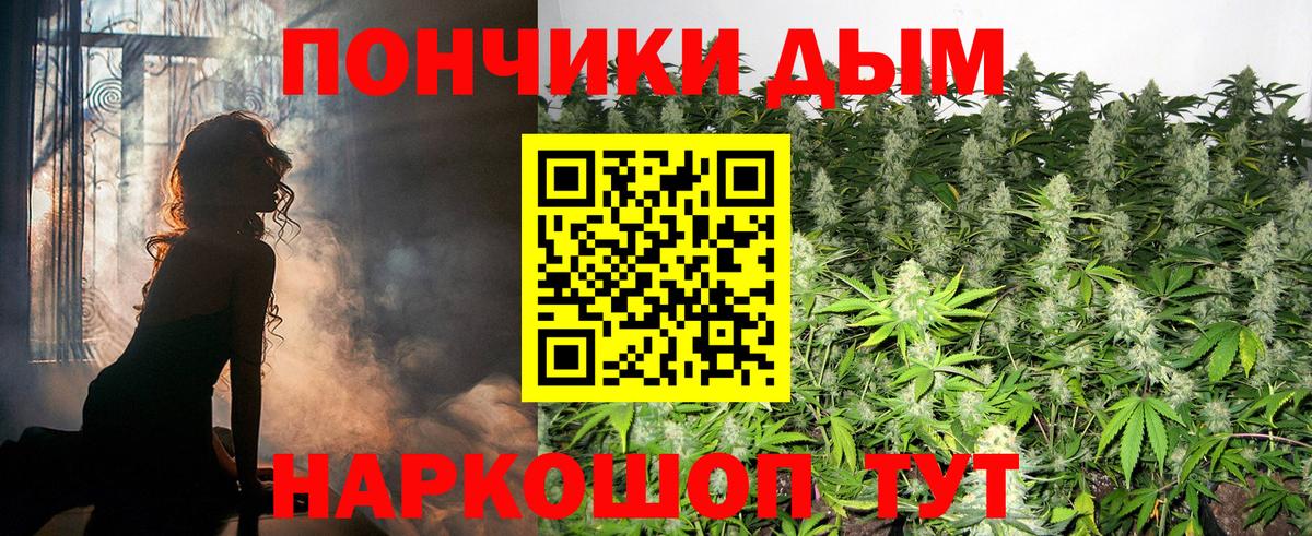 Каннабис сатива Ейск